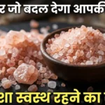 सेंधा नमक के फायदे Sendha namak vs white table salt black salt health tips