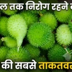 कंटोला के फायदे Kantola Kakoda sabji health benefits teasel gourd spiny gourd