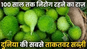 कंटोला के फायदे Kantola Kakoda sabji health benefits teasel gourd spiny gourd