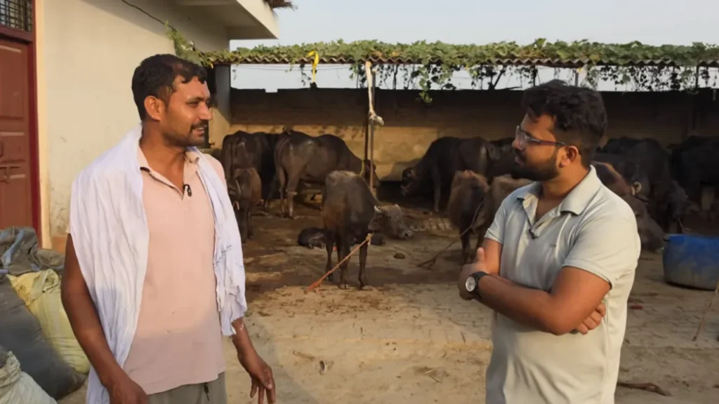 डेयरी फार्मिंग बिजनेस Dairy Farming Business Raju Bhai Home Setup Gir Cow