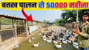 बतख पालन Batakh Palan Duck farming business egg production Indian Runner
