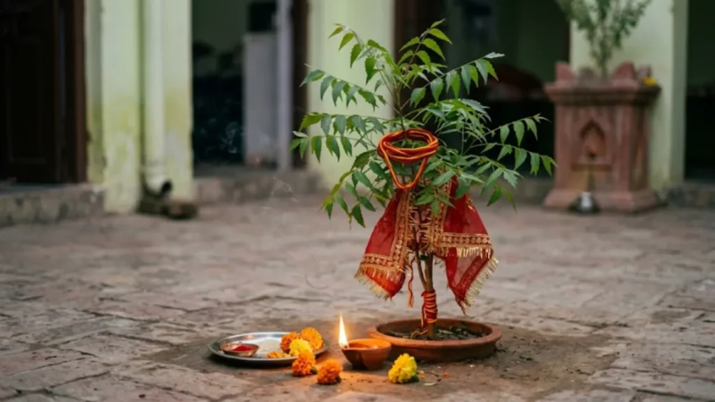 नवरात्रि के अचूक उपाय Navratri ke achook upay kanya pujan neem tree remedy