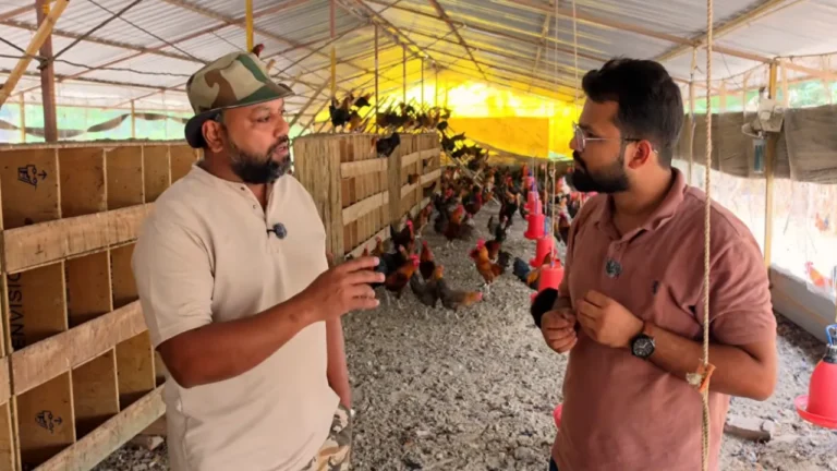 मुर्गी पालन Murgi Palan free range chicken farming Indore farmer success