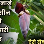 केले के फूल के फायदे Kele ke phool ke fayde banana flower health benefits for women