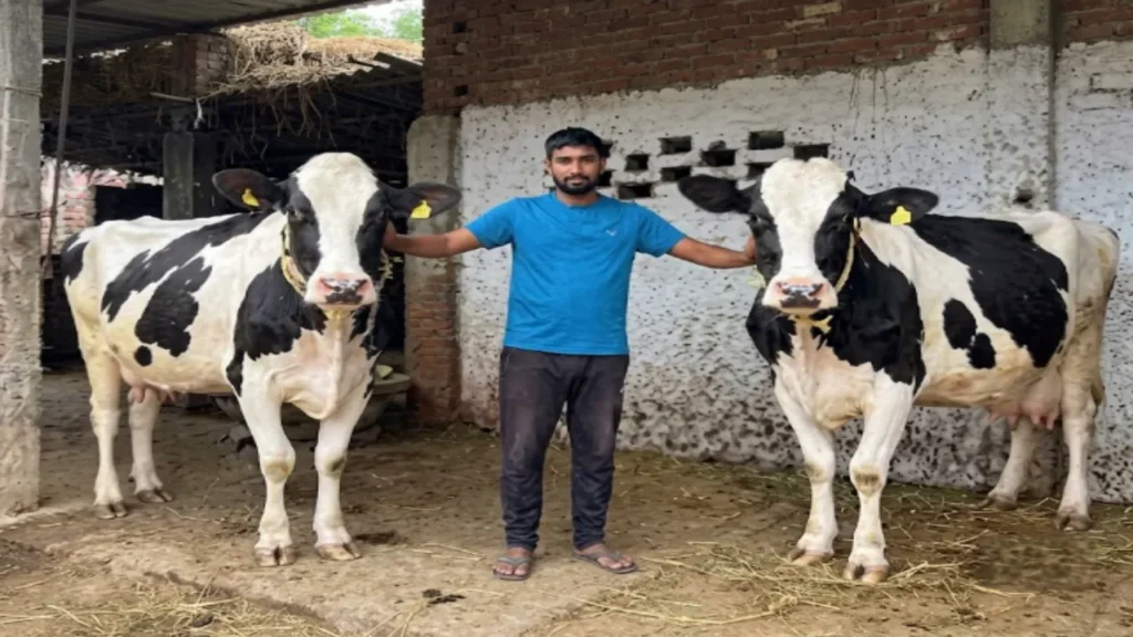 गाय पालन Dairy Farming Business Khagaria Bihar Student Farmer