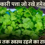 धनिया पत्ता के फायदे Dhaniya patta ke fayde coriander water kidney detox diabetes