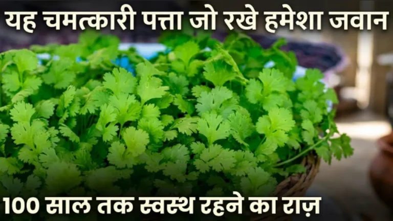 धनिया पत्ता के फायदे Dhaniya patta ke fayde coriander water kidney detox diabetes