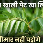 कढ़ी पत्ता के फायदे Kadi patta ke fayde curry leaves empty stomach diabetes hair fall