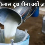 दूध पीने के फायदे Dudh pine ke fayde types of milk cow buffalo toned skimmed