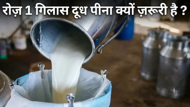 दूध पीने के फायदे Dudh pine ke fayde types of milk cow buffalo toned skimmed