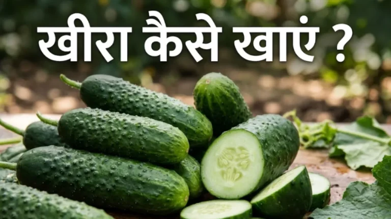 खीरा खाने के फायदे Kheera khane ke fayde cucumber benefits for knee pain and skin