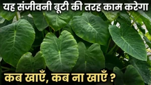 अरबी के पत्ते के फायदे Arbi ke patte ke fayde taro leaves benefits for weight loss and skin