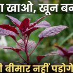 लाल साग खाने के फायदे Lal saag khane ke fayde red amaranth benefits for anemia and gray hair
