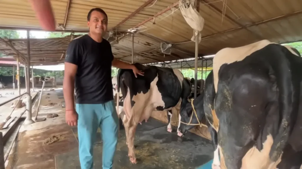 डेयरी फार्मिंग बिज़नेस Dairy Farming Business TDM Dairy Farm Mokama Cow Milking Profit
