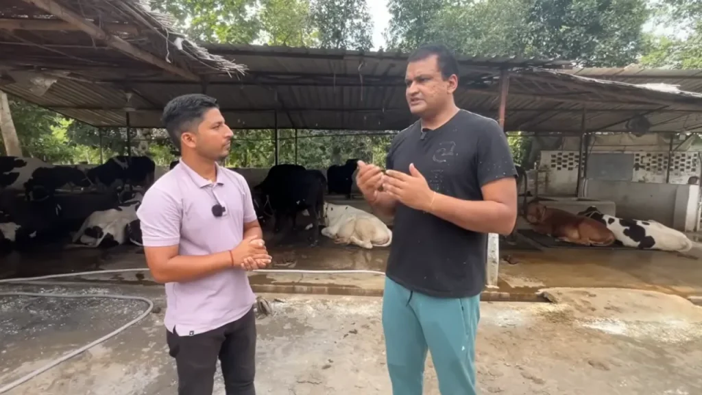 डेयरी फार्मिंग बिज़नेस Dairy Farming Business TDM Dairy Farm Mokama Cow Milking Profit