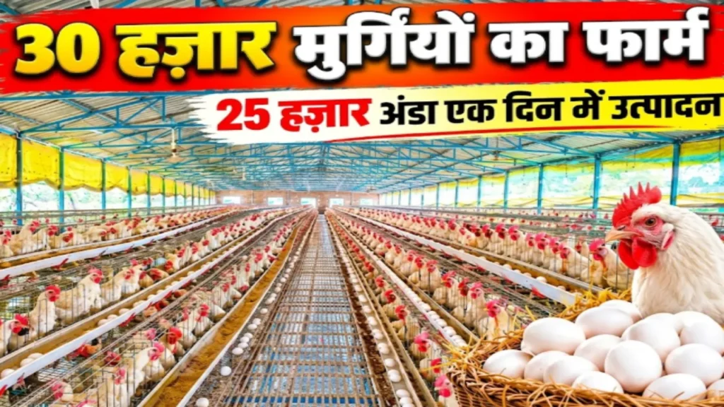लेयर फार्मिंग Layer farming poultry business egg production murghi palan Bihar