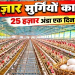 लेयर फार्मिंग Layer farming poultry business egg production murghi palan Bihar