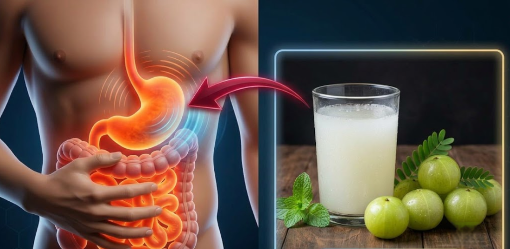 पेट की गैस का इलाज Amla for acidity and gas relief natural treatment