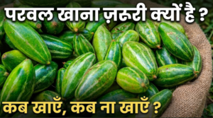 परवल खाने के फायदे Parwal khane ke fayde pointed gourd benefits liver detox hair fall