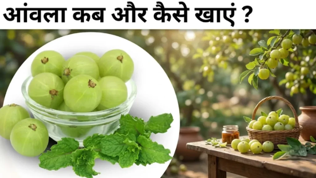 आंवला खाने के फायदे Amla khane ke fayde indian gooseberry benefits for diabetes and liver