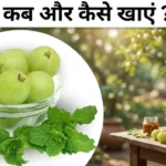आंवला खाने के फायदे Amla khane ke fayde indian gooseberry benefits for diabetes and liver