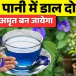 अपराजिता की चाय के फायदे Aprajita ki chai blue tea weight loss skin care and sugar control