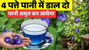 अपराजिता की चाय के फायदे Aprajita ki chai blue tea weight loss skin care and sugar control