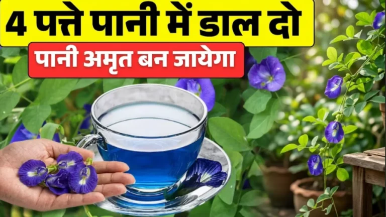 अपराजिता की चाय के फायदे Aprajita ki chai blue tea weight loss skin care and sugar control
