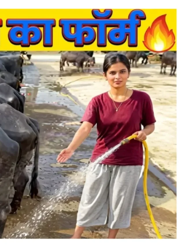 सिर्फ 2 भैंसों से शुरू कर बनाया 40 भैंसों का डेयरी फार्म जानिए कैसे