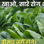 पालक खाने के फायदे Palak khane ke fayde spinach juice benefits for blood and eyes