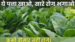 पालक खाने के फायदे Palak khane ke fayde spinach juice benefits for blood and eyes